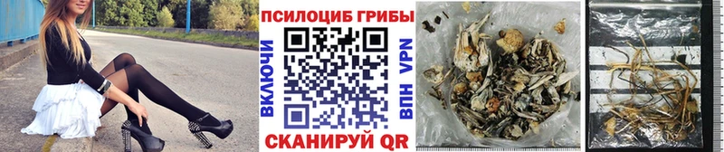 omg tor  Чухлома  Галлюциногенные грибы мухоморы  наркотики 